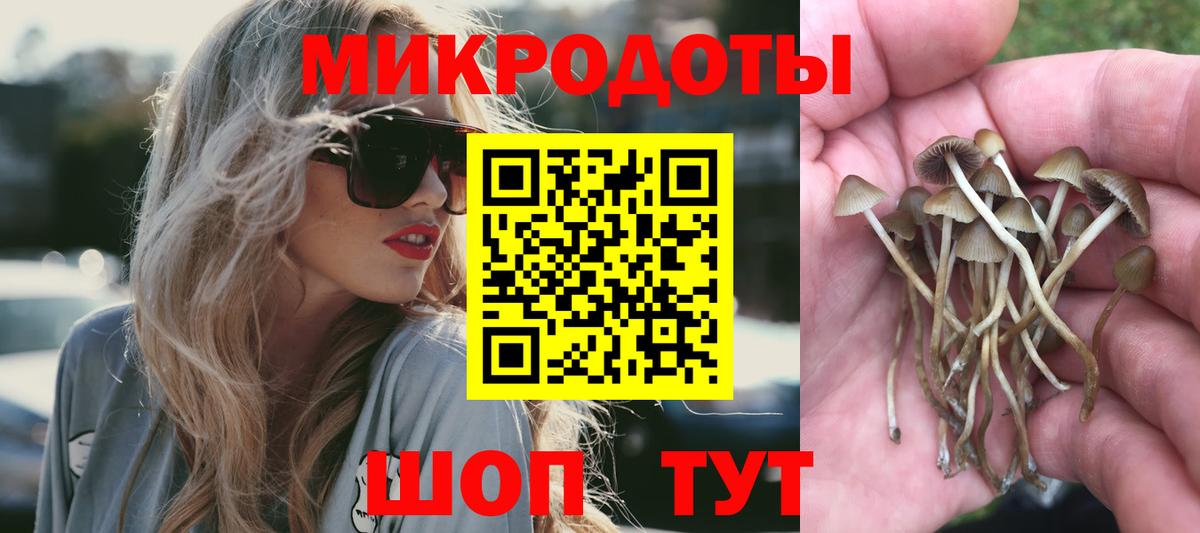 Псилоцибиновые грибы MAGIC MUSHROOMS  Галлюциногенные грибы Cubensis  купить  цена  Тында  Вход с VPN 